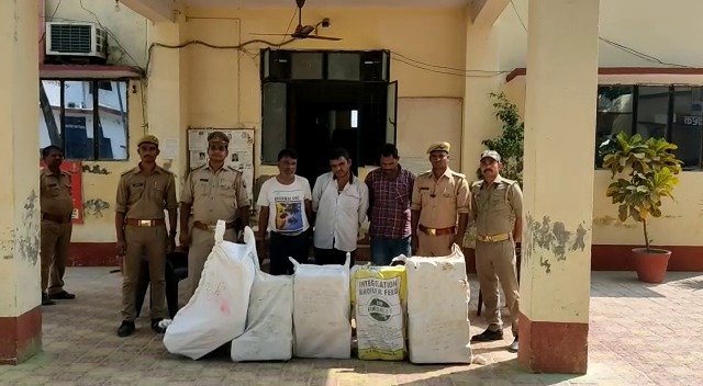 लखनऊ एसटीएफ को मिली बड़ी सफलता भरे मात्रा में गाँजा के साथ ३ गिरफ्तार
