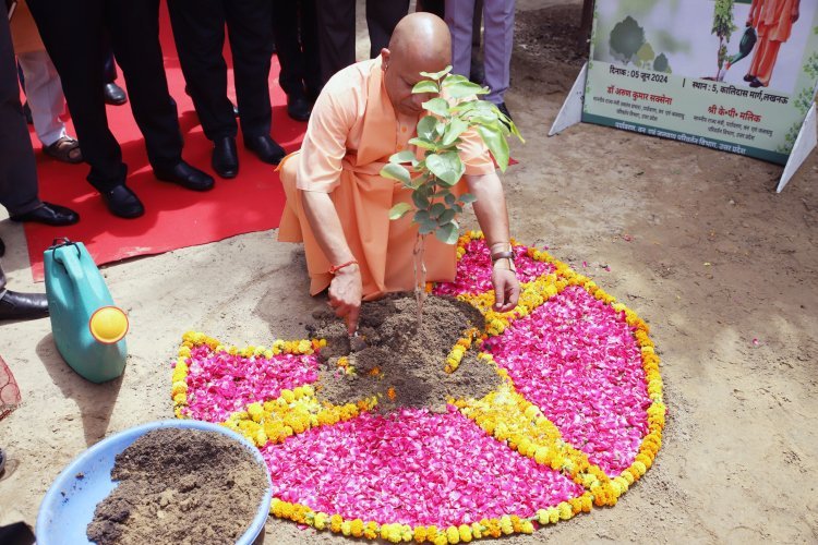 विश्व पर्यावरण दिवस पर सीएम योगी ने किया पौधरोपण